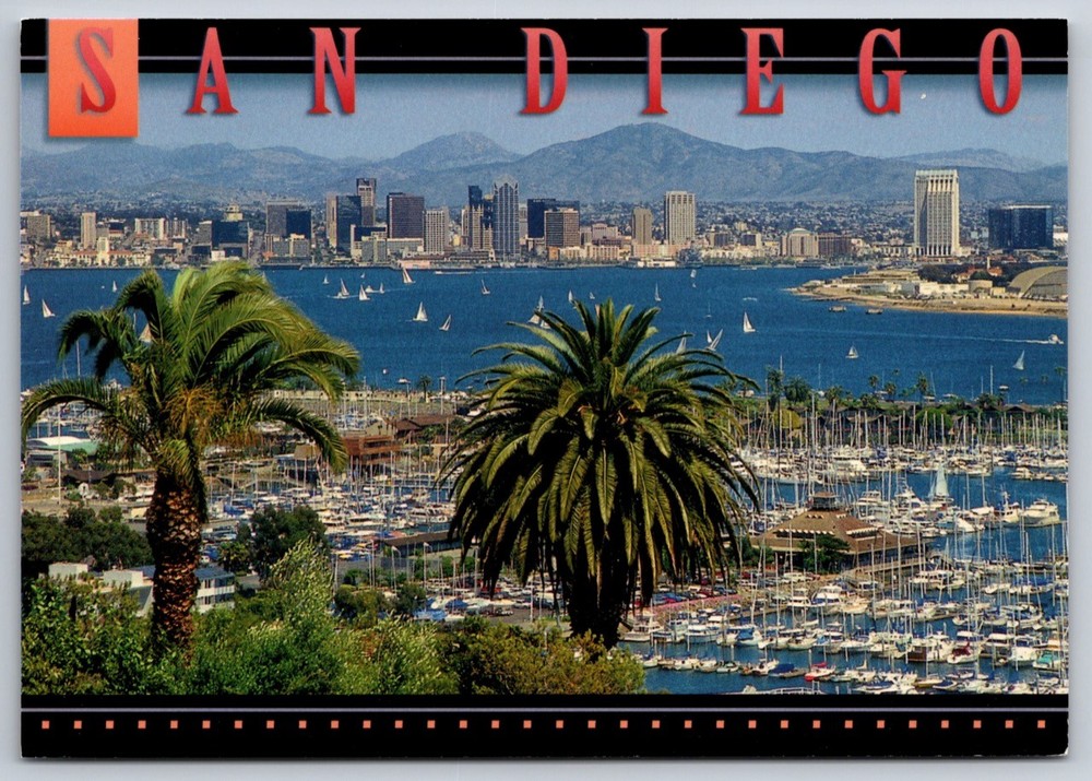 San Diego California Postcard Marina Bay View Sailboats Skyline USA Unposted