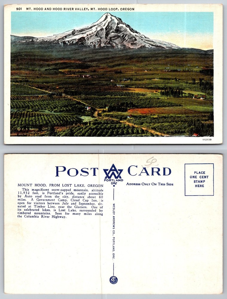 Vintage MT HOOD & HOOD RIVER VALLEY Oregon Postcard C.S. Reeves Linen