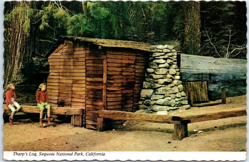 Postcard - Tharp's Log, Sequoia National Park, California, USA