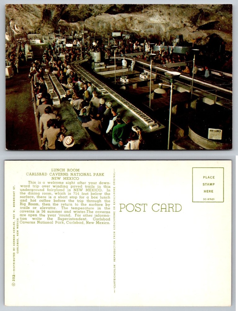 Carlsbad Caverns Lunch Room New Mexico Vintage Curteichcolor Postcard