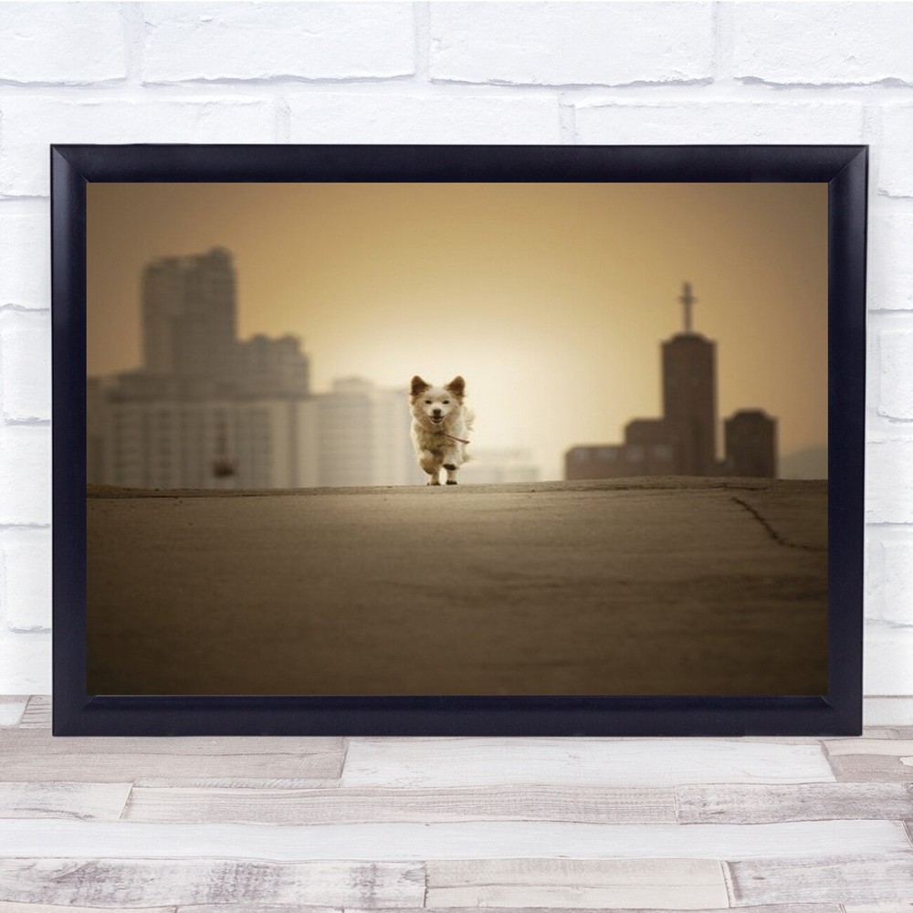 Be With You Run Street Dog Pet Cute Animal Animals Running Road Wall Art Print