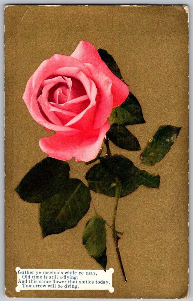 Antique Postcard Pink Rose Poem 1910s