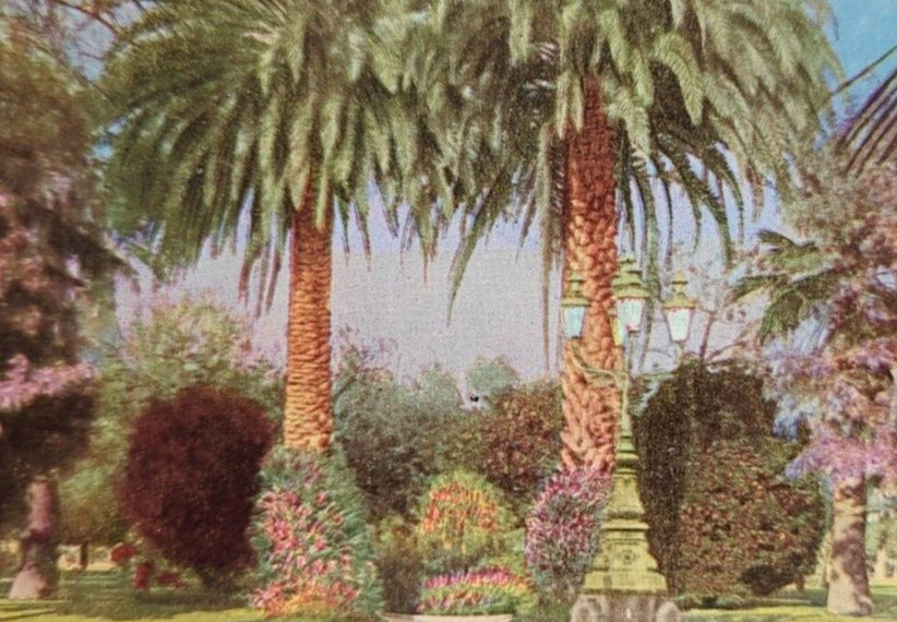 South Park Los Angeles California Unposted Vintage Litho Postcard
