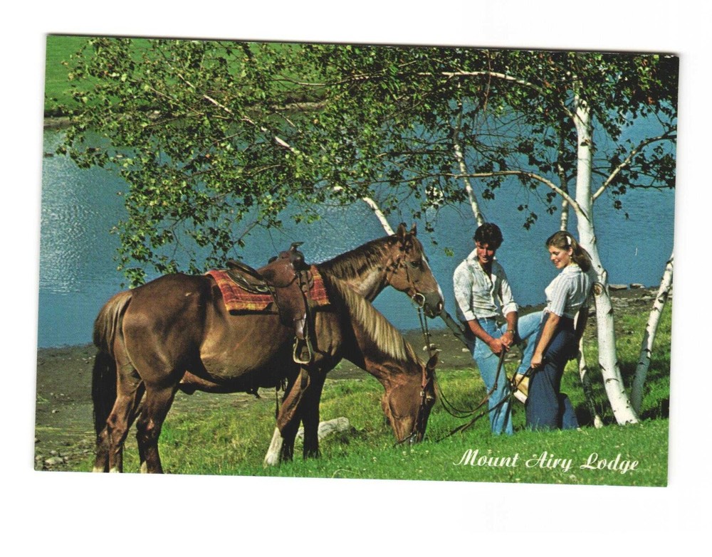 Mount Airy Lodge Mount Pocono Pennsylvania vintage postcard unposted