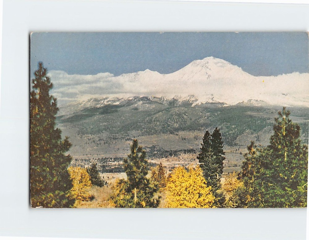 Postcard Mt. Shasta California USA