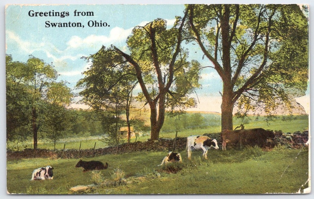 Vintage Greetings from Swanton Ohio Cows Pasture Postcard