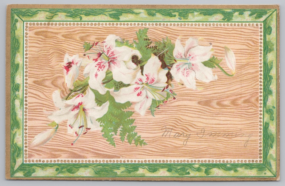 Greetings~White Flowers Remembrance~Vintage Postcard