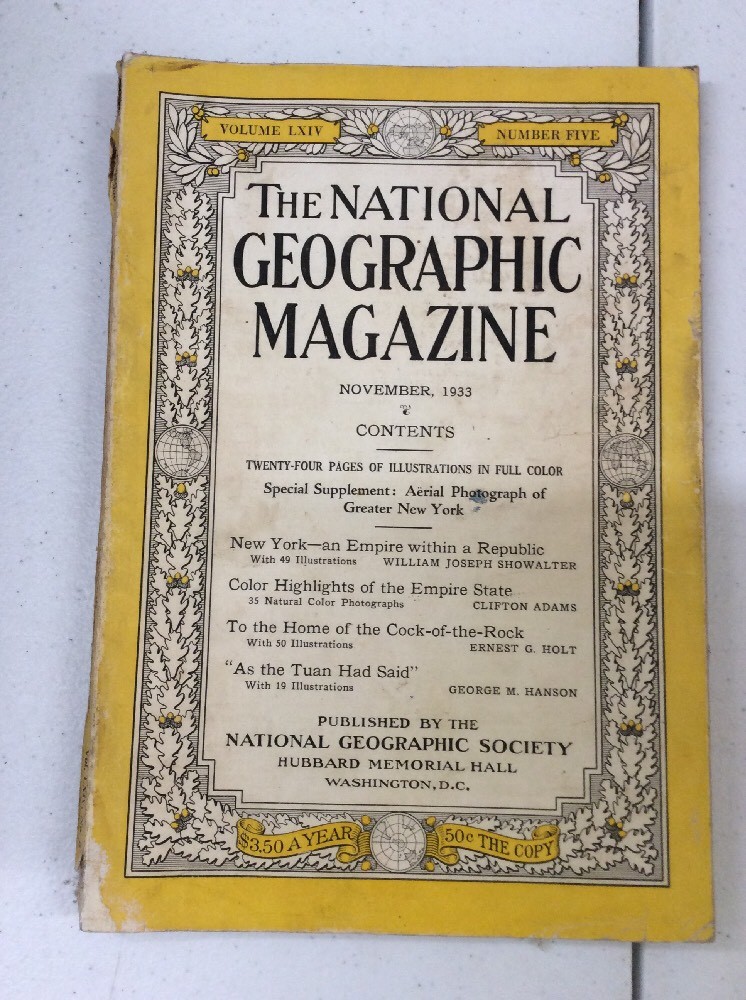 ANTIQUE NATIONAL GEOGRAPHIC AMERICAN MILITARY INSIGNIA in Colored November 1933