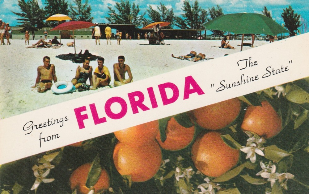 Greetings from Florida the Sunshine State Banner Multi View Vintage Postcard