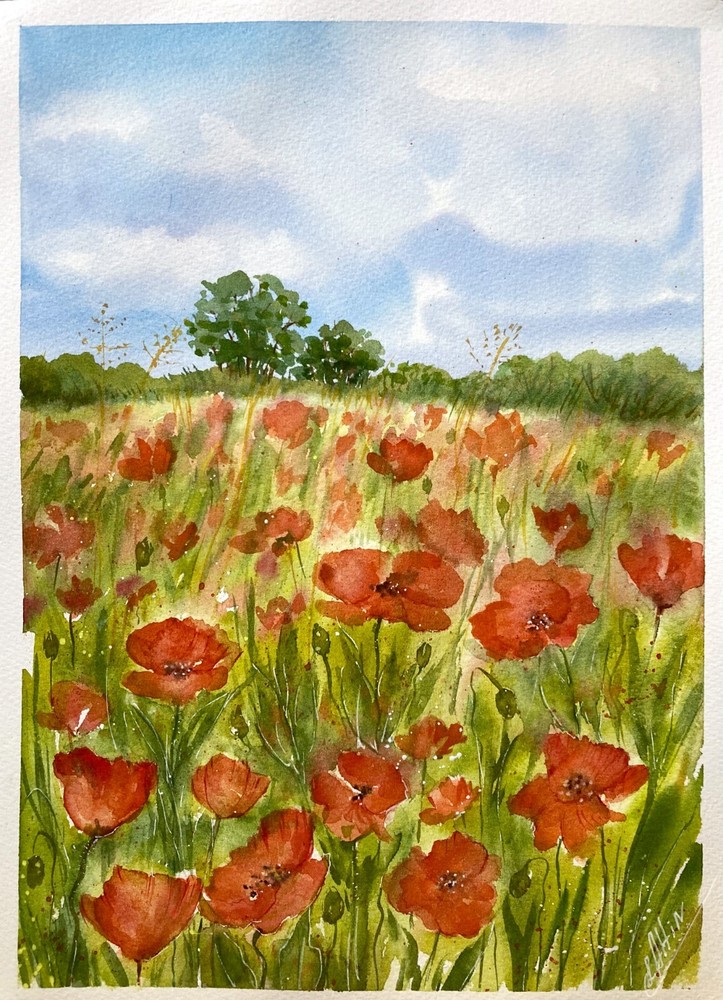 Sunny Day Poppies Watercolor Landscape Original Painting