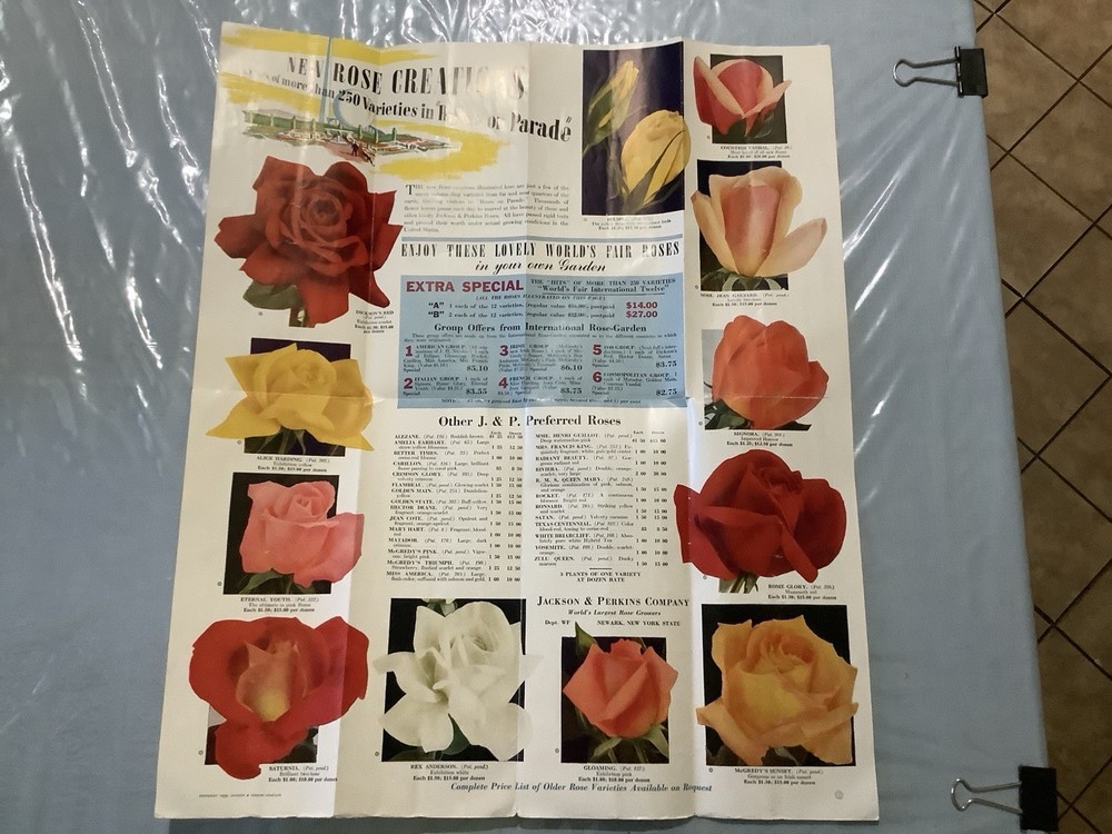 1939 Roses On Parade - Great Rose Display - New York World’s Fair