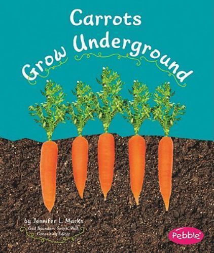 Carrots Grow Underground by Schuh, Mari