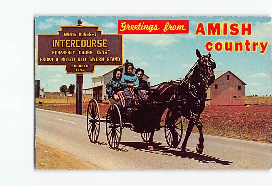 Postcard Amish Girls in Horse and Buggy Amish Country Intercourse Pennsylvania