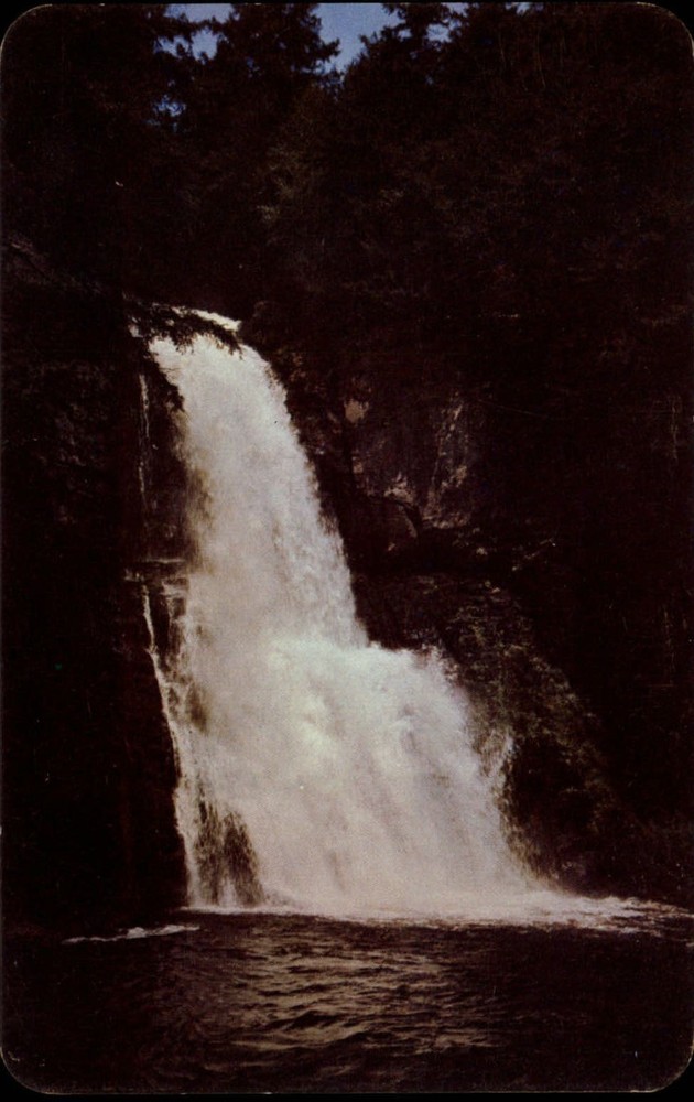 Pennsylvania Pocono Mountains Bushkill Falls ~ 1950s-60s vintage postcard sku435