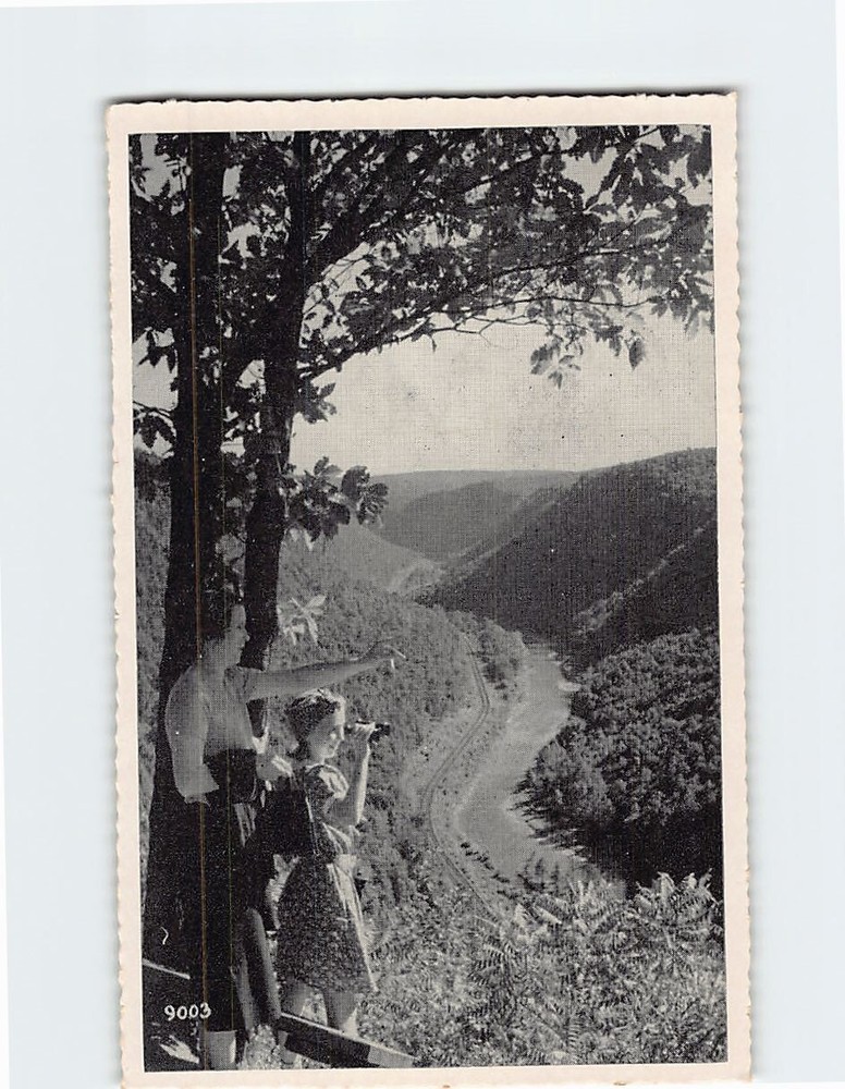 Postcard Pennsylvanias Grand Canyon viewed from Harrison State Park, PA