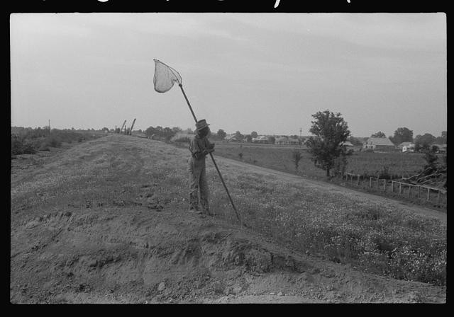 Photo:1930s Farm Worker Holding Net on Levee Rural Landscape