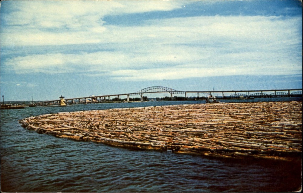 Lob boom~St Mary's River towed by tug to paper mill~Sault Ste Marie Bridge~1960s