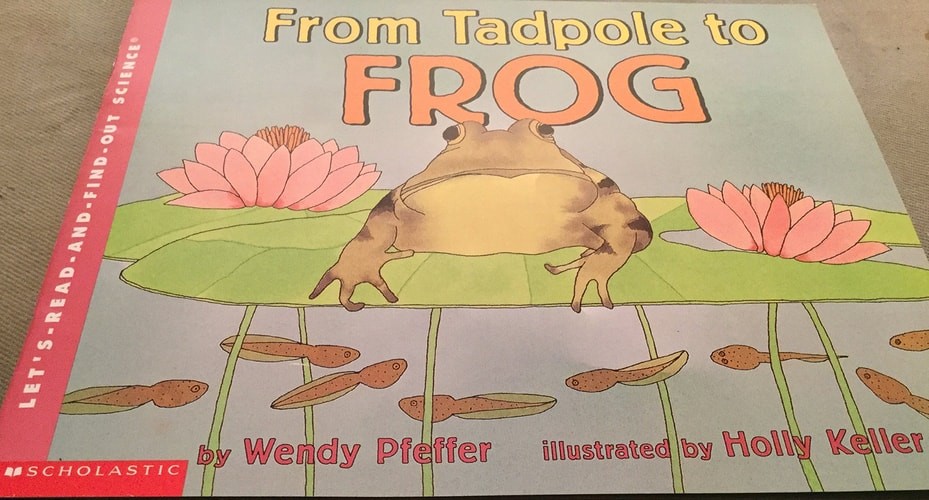 From a Tadpole to Frog- Let's Read and Find Out Science by Wendy Pfeffer, Very G