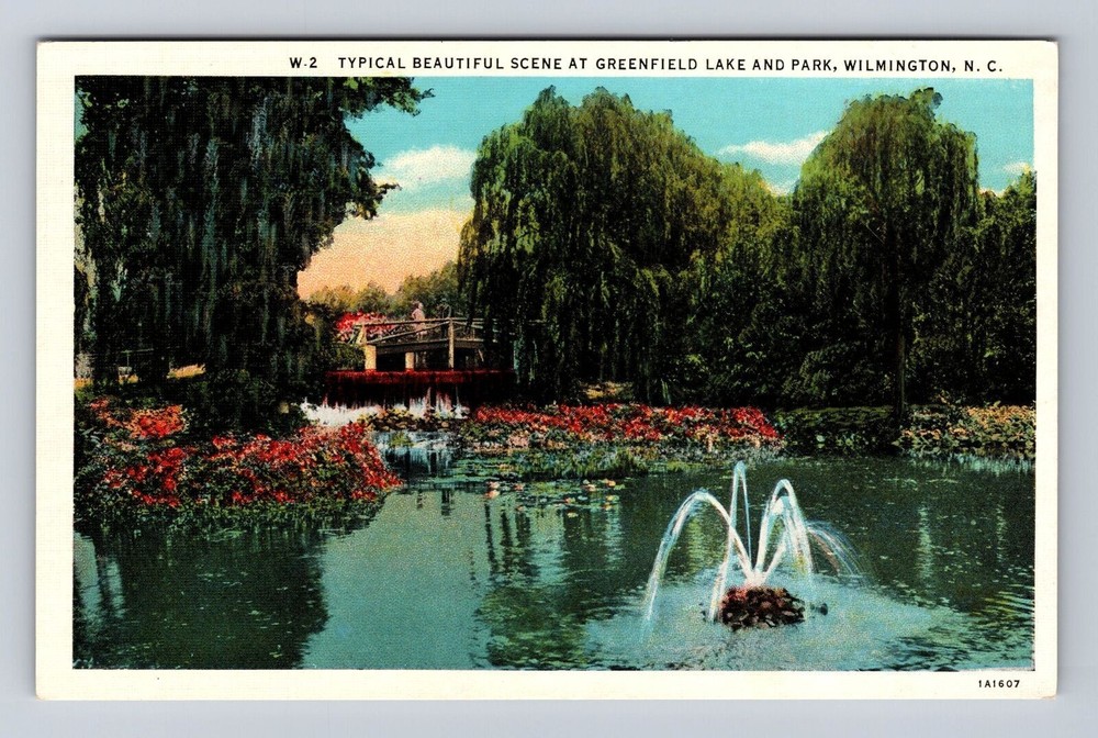 Wilmington NC-North Carolina, Greenfield Lake and Park, Vintage Postcard