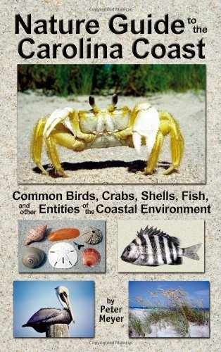 Nature Guide to the Carolina Coast: - Paperback, by Peter Meyer - Very Good