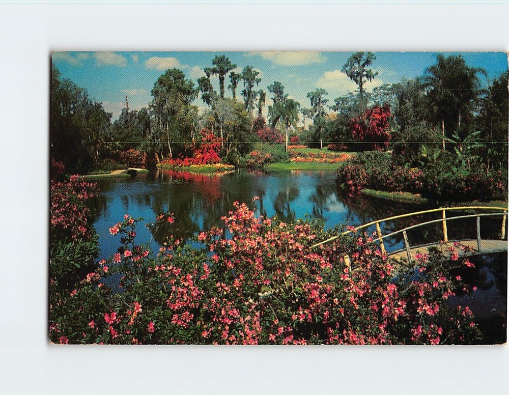 Postcard Famous Cypress Gardens Florida USA
