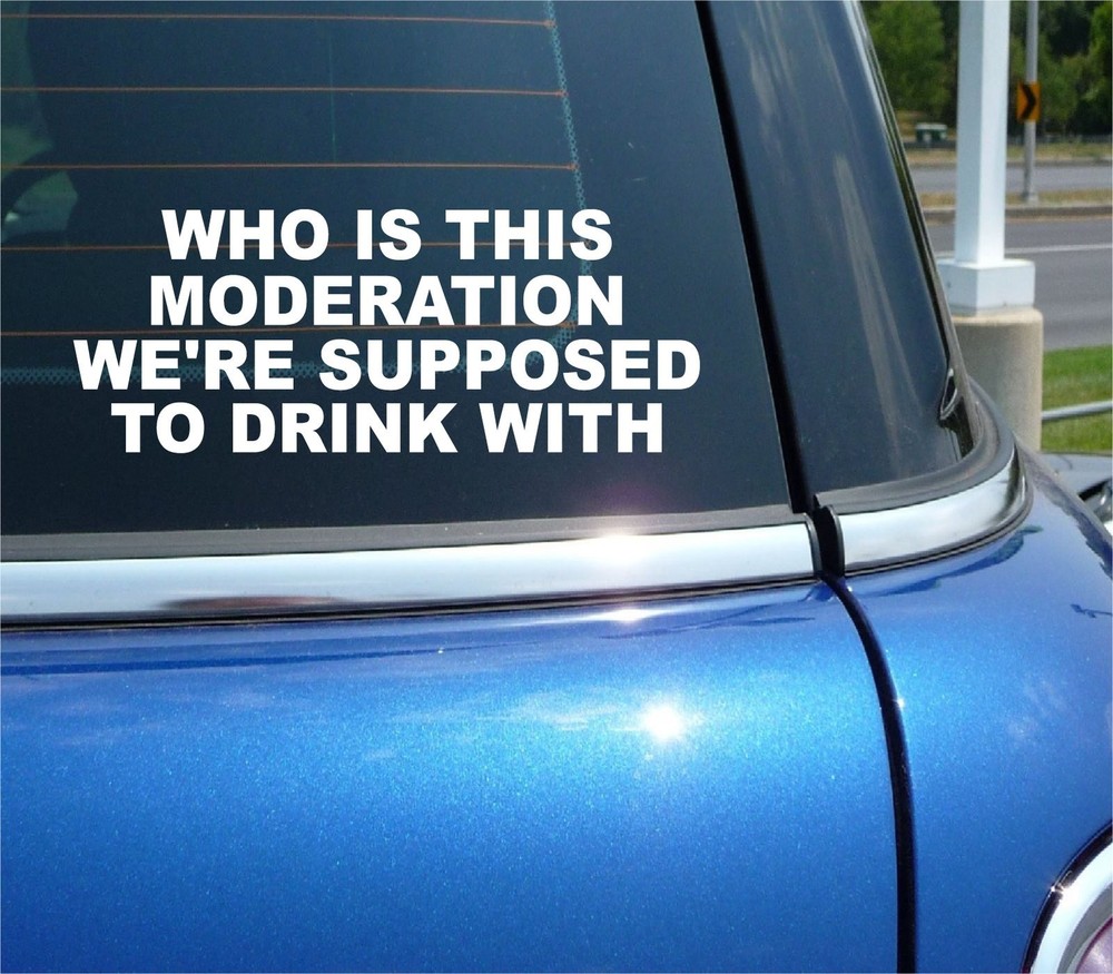 Funny Car Window Sticker - Who Is This Moderation Supposed To Drink With Decal