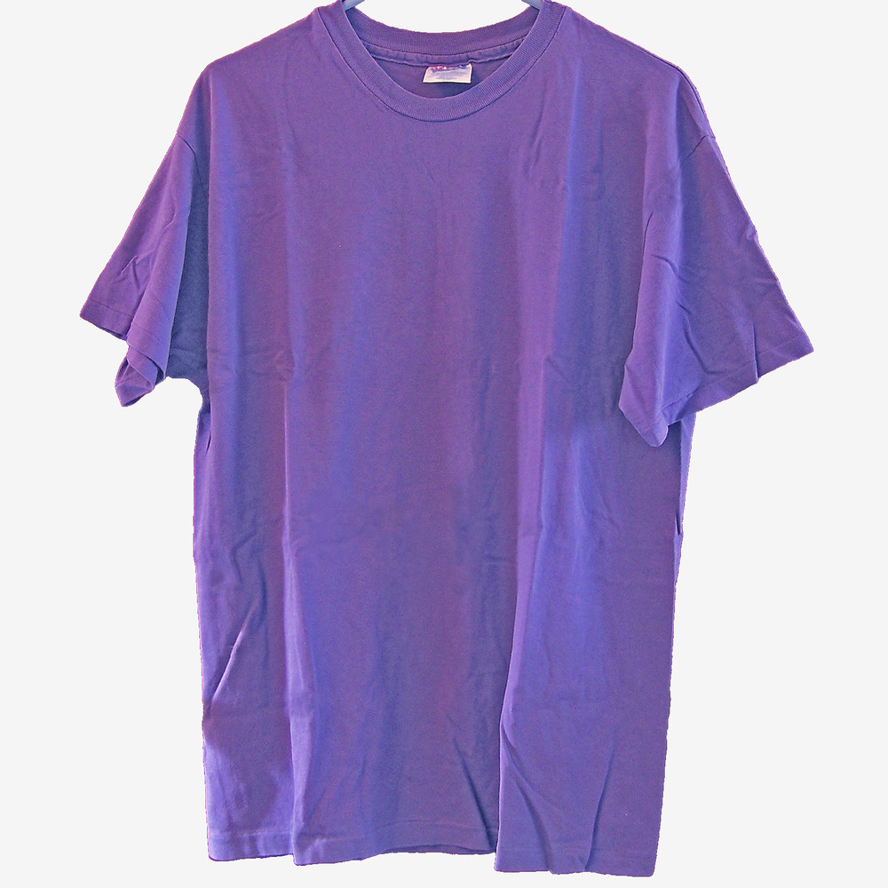 Men's Hane's Size Large Crew Neck T-Shirt Short Sleeve Purple Cotton Made In USA