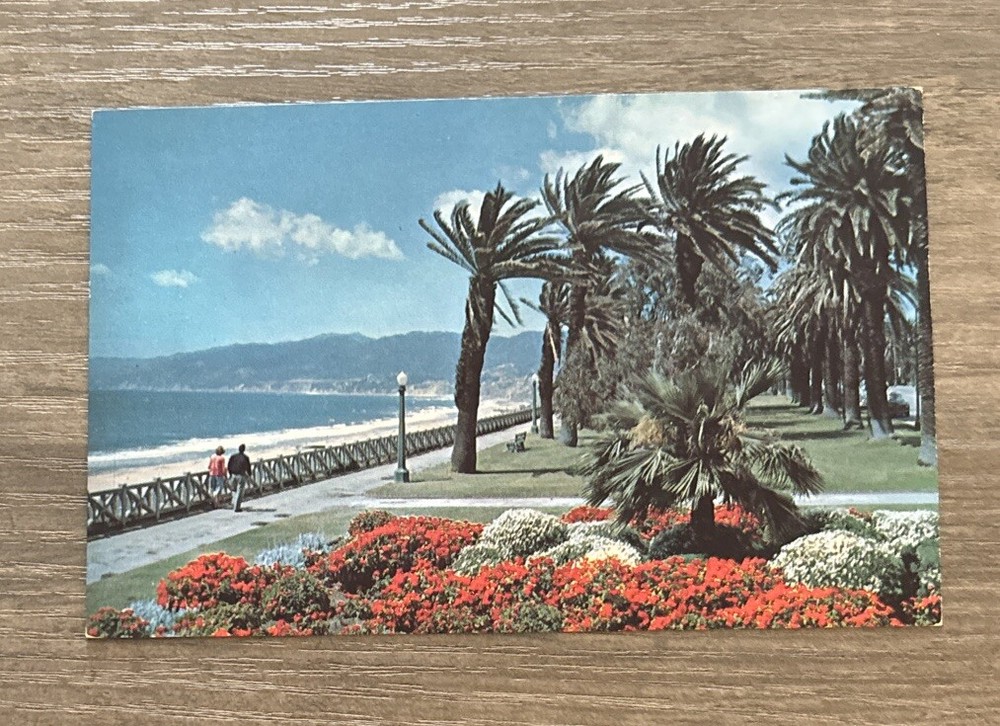 Santa Monica California Palisades Park Geraniums Beach View Vintage Postcard