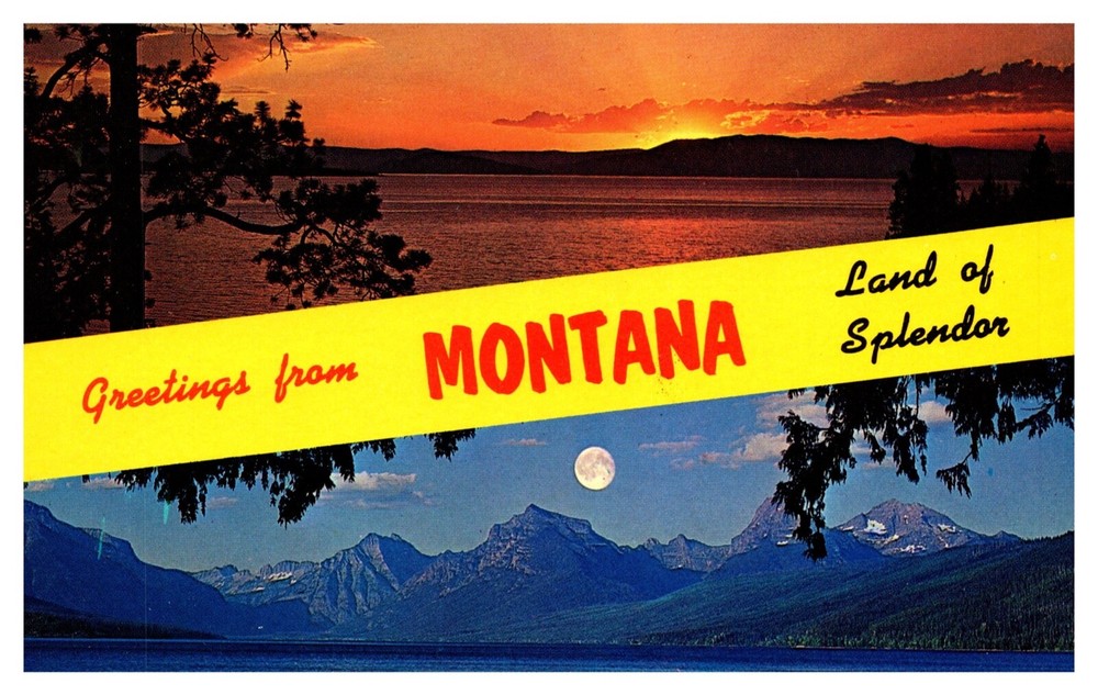 MT Montana Greetings From Land of Splendor Multi-View Banner Chrome Postcard