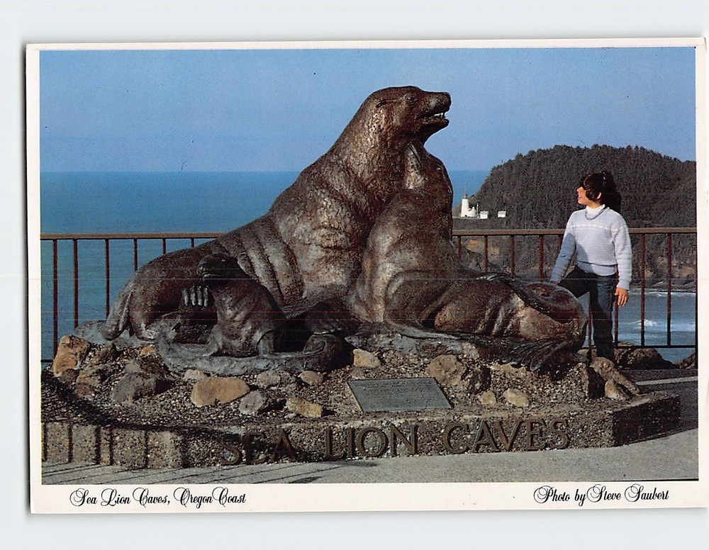 Postcard Sea Lion Caves Oregon Coast Florence Oregon USA