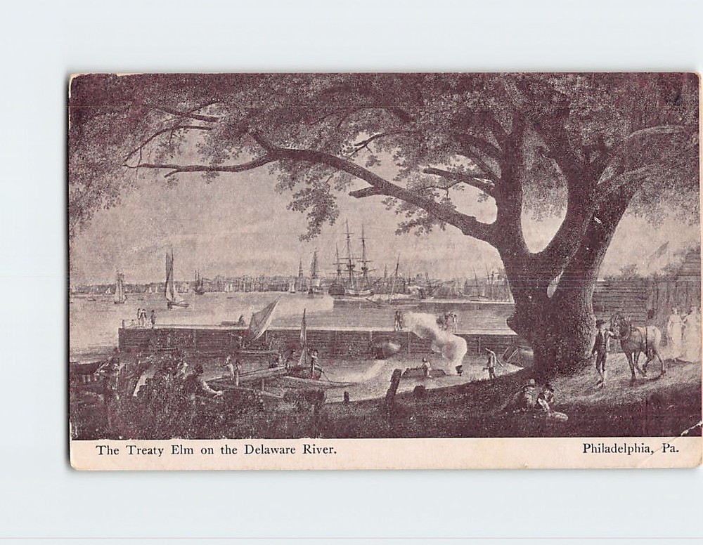Postcard The Treaty Elm on the Delaware River Philadelphia Pennsylvania USA