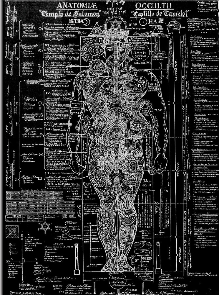 Large Wall Art Poster  