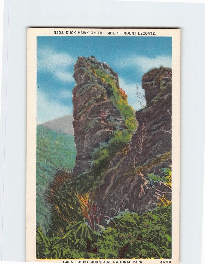 Postcard Duck Hawk Side of Mount Leconte Great Smoky Mountains National Park