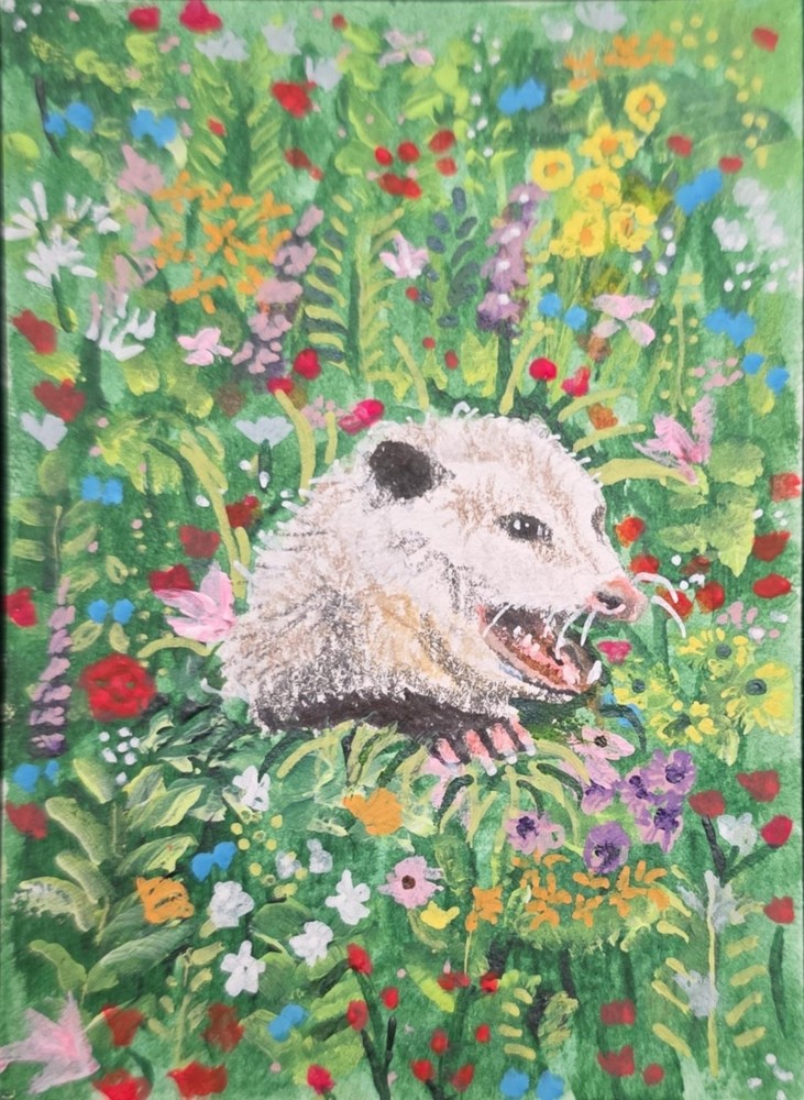 ACEO Original Grumpy Possum in Wildflower Field Whimsical Art