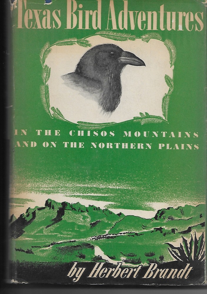 Texas Bird Adventures in the Chisos Mountains and on the Northern Plains
