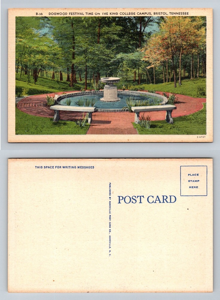 Bristol, TN-Tennessee, King College Campus Dogwood Festival Vintage Postcard