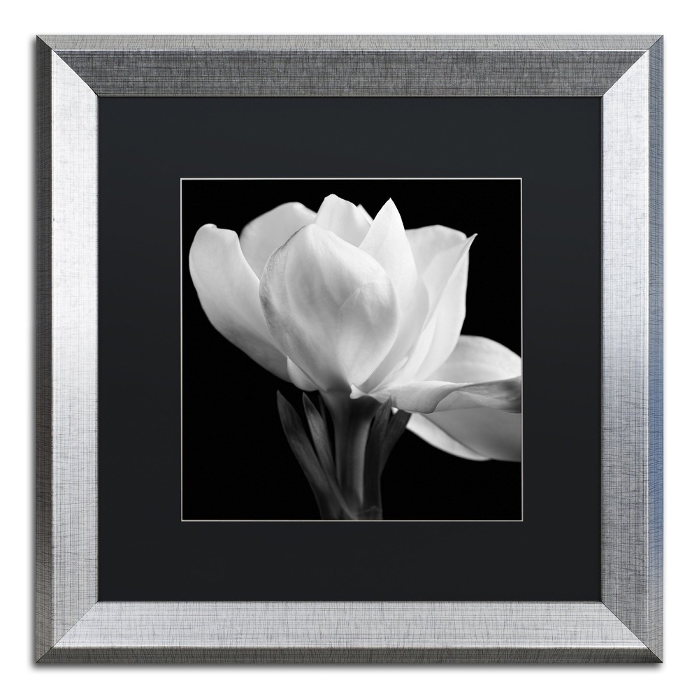 Michael Harrison Gardenia Silver Frame 16x16 Black Matte  