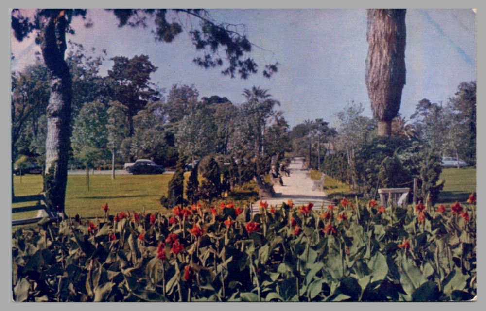 Recreation Park Eastern Long Beach California Chrome c1950 UNP Vintage Postcard