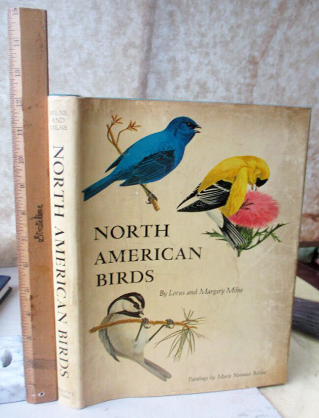 NORTH AMERICAN BIRDS,1969,Lorus & Margery Milne,Illust,DJ