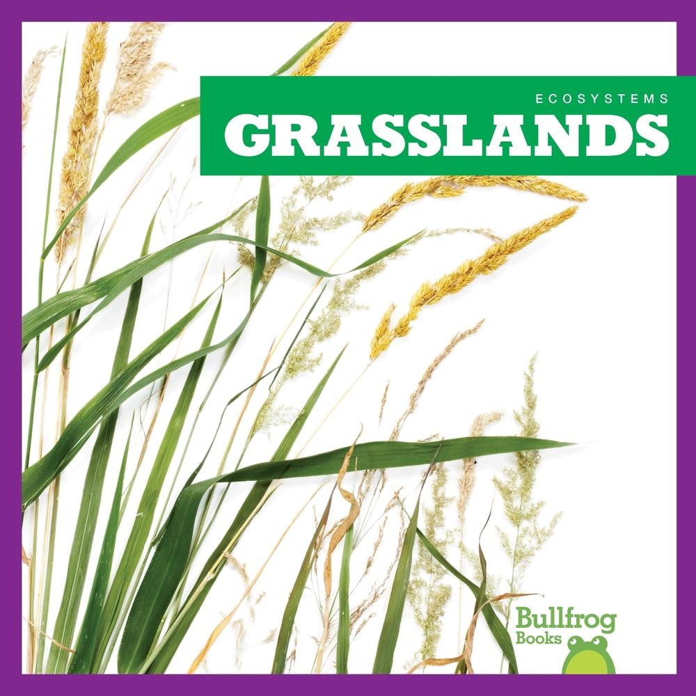 Grasslands by Nadia Higgins (English) Hardcover Book