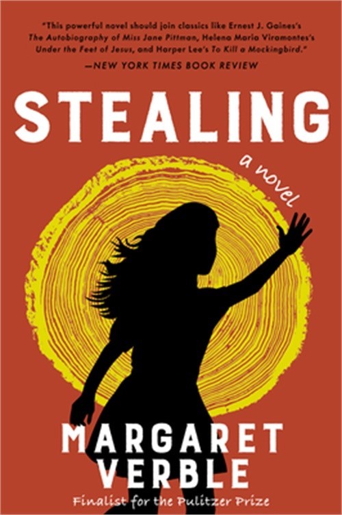 Stealing (Paperback or Softback)