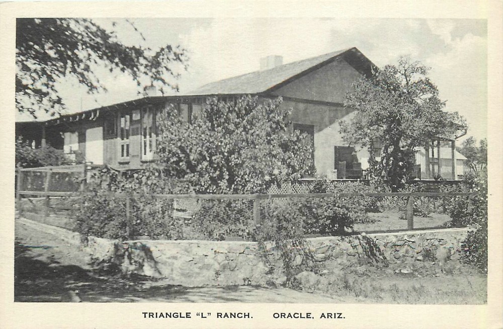 1920s Oracle Arizona Triangle L Ranch occupation Albertype Postcard 26-3875
