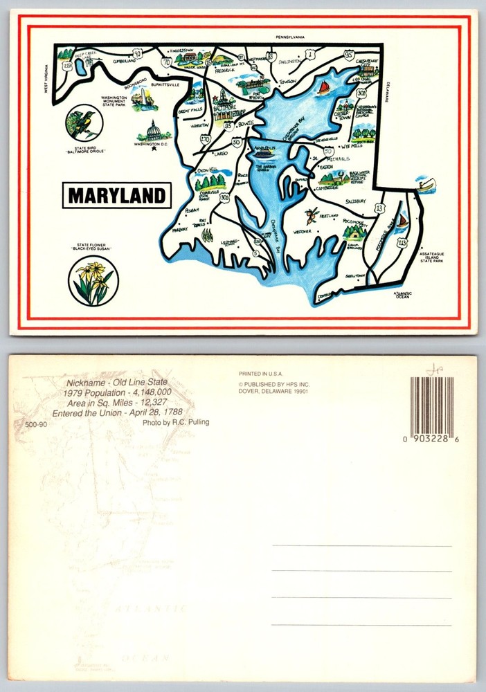 Vintage Maryland State Map Postcard Chesapeake Bay Black-Eyed Susan HPS 1990