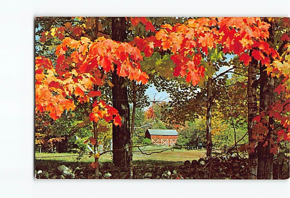 Postcard New England Fall Foliage USA North America