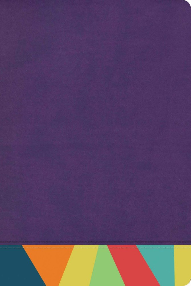 Reina Valera 1960 Biblia de Estudio Arcoíris, morado/multicolor | RVR 1960 ...