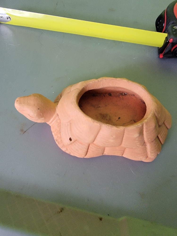 Partylite Terra Cotta Turtle Tealight Holders Planter Tortoise Terrapin