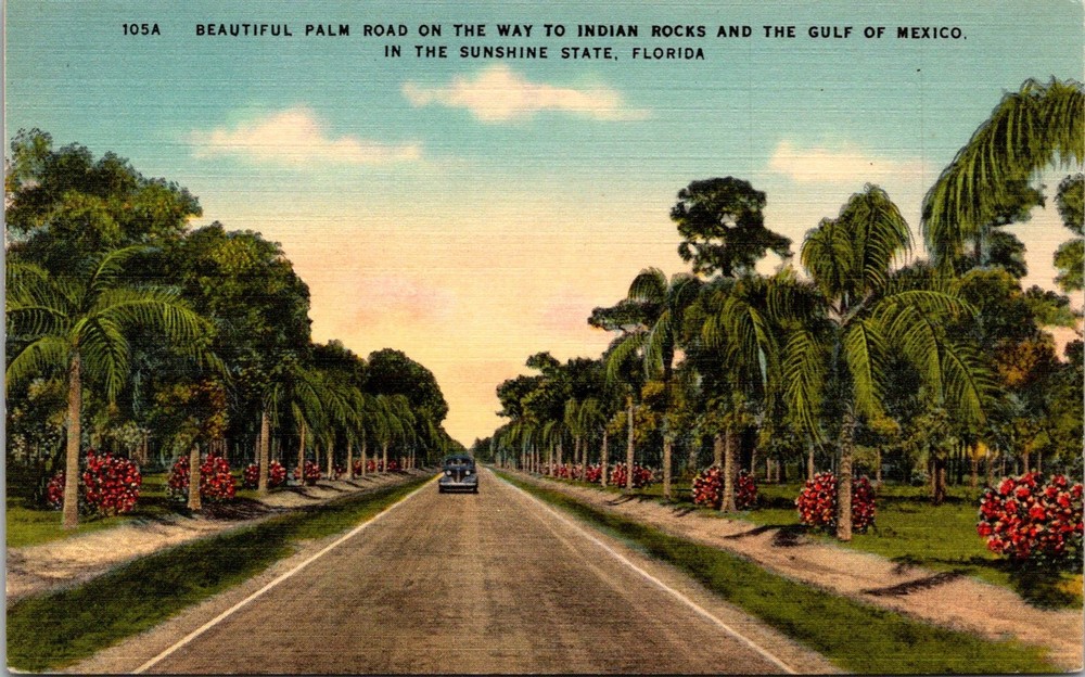 Dr Jim Stamps Postcard Palm Road Florida Linen
