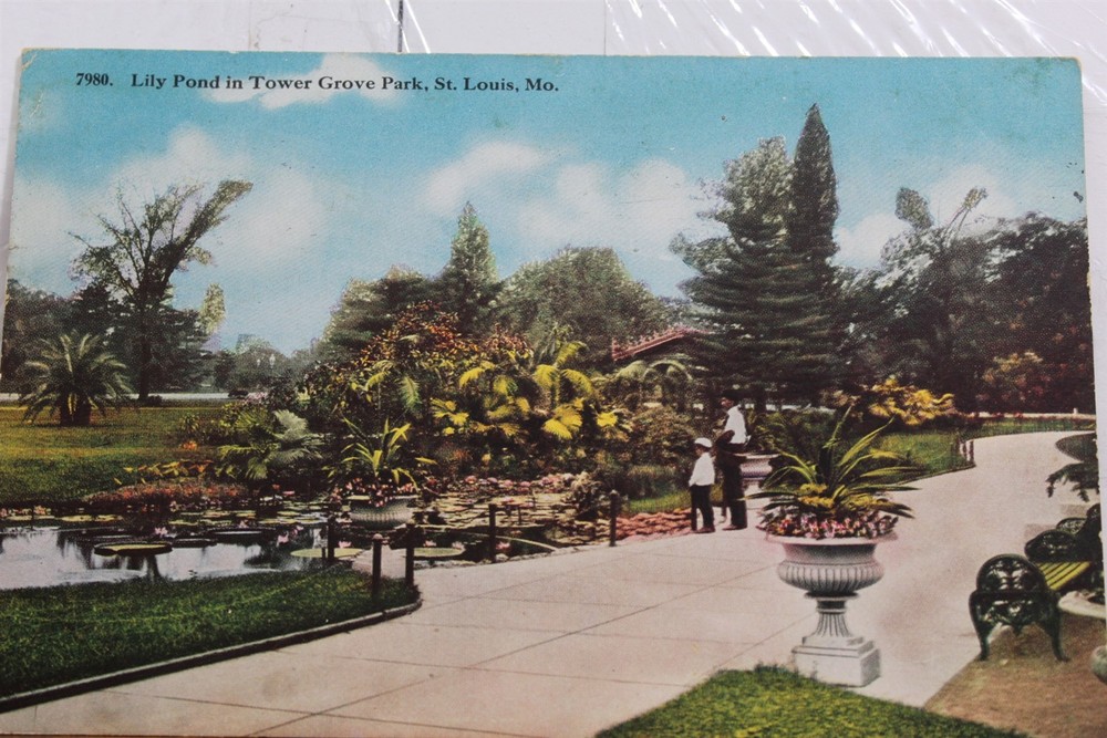 Missouri MO St Louis Tower Grove Park Lily Pond Postcard Old Vintage Card View