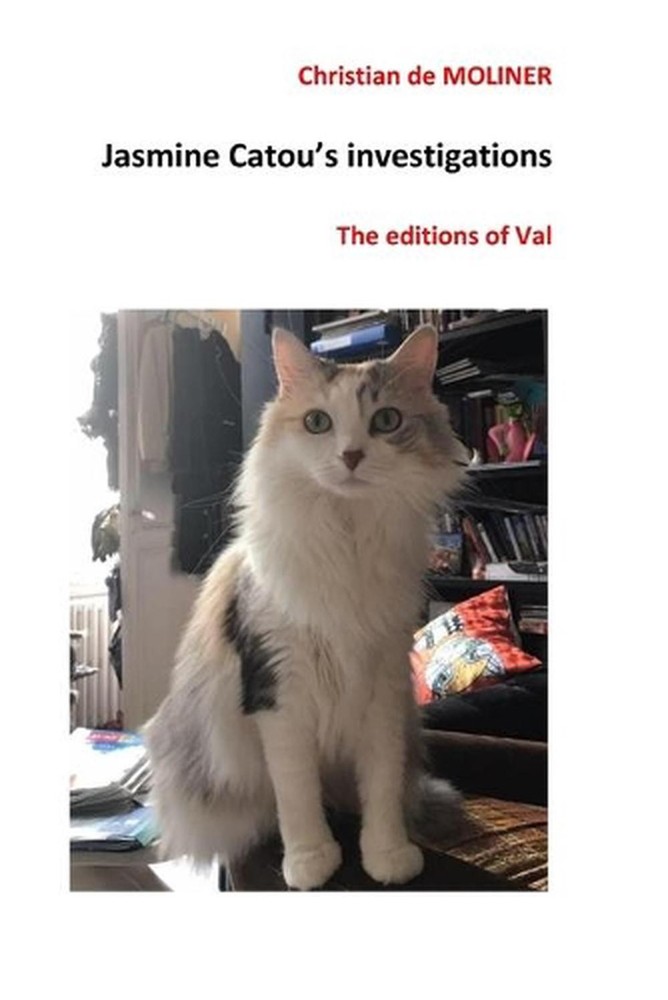 Jasmine Catou's investigations by Christian De Moliner (English) Paperback Book