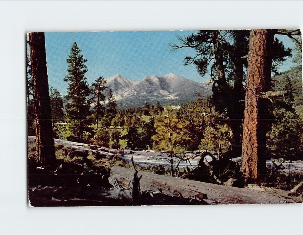 Postcard San Francisco Peaks near Flagstaff Arizona USA